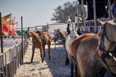 BEACH_POLO_MOZ_D3_3897